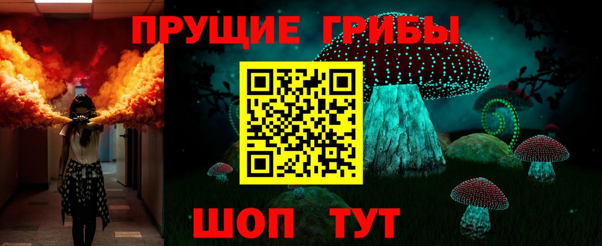 Галлюциногенные грибы прущие грибы  Галлюциногенные грибы прущие грибы  Гусев  Вход с VPN 